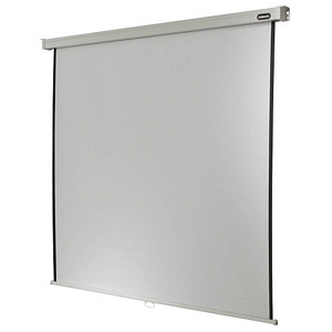 celexon Rolloleinwand Professional 1:1, 280 x 280 cm Projektionsfläche celexon Rolloleinwand Professional 1:1, 280 x 280 cm Projektionsfläche von Celexon