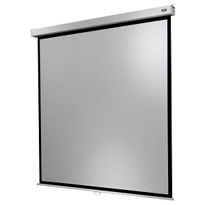 celexon Rolloleinwand Professional Plus 1:1, 120 x 120 cm Projektionsfläche von Celexon