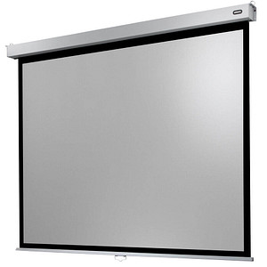 celexon Rolloleinwand Professional Plus 4:3, 300 x 225 cm Projektionsfläche von Celexon