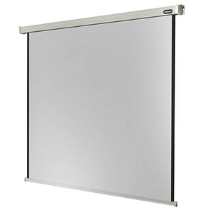 celexon elektrische Rolloleinwand Professional Motor 1:1, 300 x 300 cm Projektionsfläche von Celexon