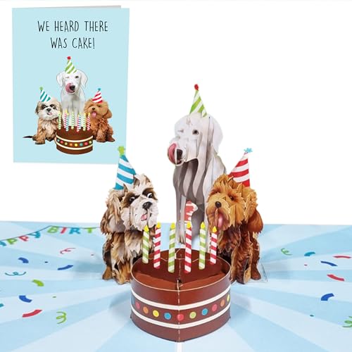 Central 23 Pop Up Karte Hunde – We Heard There Was Cake – Geburtstagskarten für Männer und Frauen – Hunde Geburtstag Geschenk für Hundeliebhaber – Kommt mit Aufklebern von Central 23