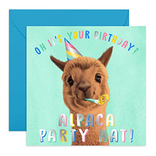 Central 23 Süße Geburtstagskarte Frauen Alpaka Birthday Hat - Glückwunschkarte Geburtstag für Freundin - Lustige Karte für Geburtstage oder Feiern - Happy Birthday Karte für Frau von Central 23