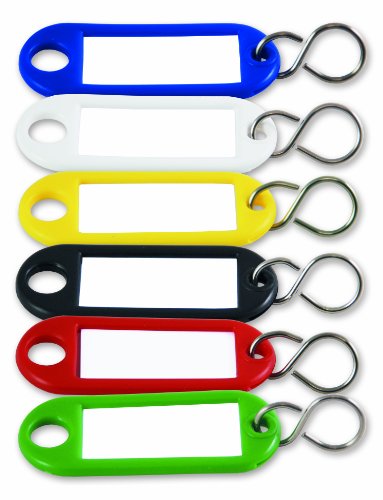 Chapuis 7122/13AS Schlüsselanhänger-Set für Etiketten, mit Haken, aus Polyethylen, verschiedene Farben, 100 Stück von Chapuis