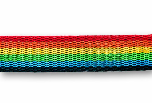 Chapuis fgac1 Polypropylen-Gurt 408 kg Breite 25 mm Länge 10 m Rainbow von Chapuis