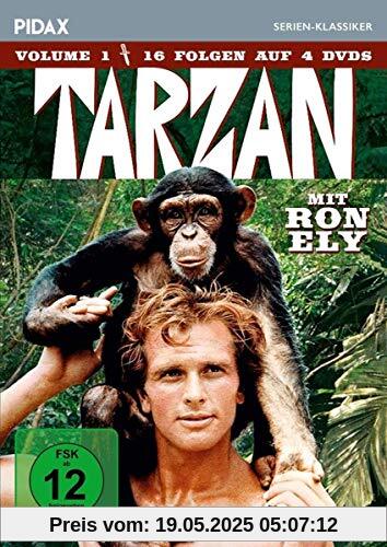 Tarzan, Vol. 1 / 16 Folgen der Kultserie mit Ron Ely (Pidax Serien-Klassiker) [4 DVDs] von Charles S. Dubin