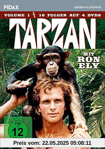 Tarzan, Vol. 1 / 16 Folgen der Kultserie mit Ron Ely (Pidax Serien-Klassiker) [4 DVDs] von Charles S. Dubin