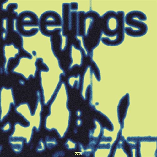 Feelings [Vinyl LP] von Chateau Lala (Broken Silence)