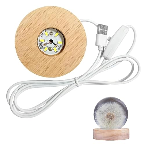 Chedin DIY Runde Silikon Form Holz LED Lichtsockel, LED Lichter Display Basis, runder Displaysockel für DIY Acrylplatte Decorative Ornament Kristallstatuen, Glaskugel (Weißes Licht) von Chedin