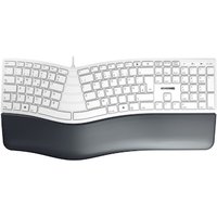 CHERRY KC 4500 ERGO Kabelgebundenen Tastatur weiß-grau CHERRY KC 4500 ERGO Kabelgebundenen Tastatur weiß-grau von Cherry