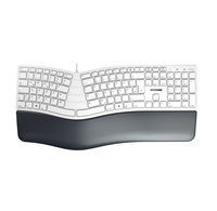 CHERRY KC 4500 ERGO Tastatur Universal USB QWERTZ Deutsch Weiß CHERRY KC 4500 ERGO Tastatur Universal USB QWERTZ Deutsch Weiß von Cherry