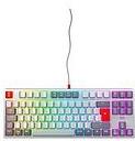 CHERRY XTRFY K4V2 - Retro Edition - Tastatur - RGB - 80% - TKL - Hintergrundbeleuchtung - USB - QWERTZ - Deutsch - Tastenschalter: CHERRY MX2A Red - Grau (CX-K4V2-RGB-TKL-RETRO-R-GER) von Cherry