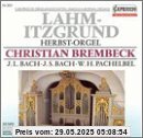 Herbst-Orgel in Lahm-Itzgrund von Christian Brembeck