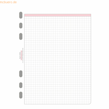 Chronoplan Formblätter kariert A5 VE=50 Stück von Chronoplan