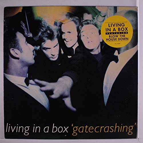 Gatecrashing [Vinyl LP] von Chrysalis (EMI)