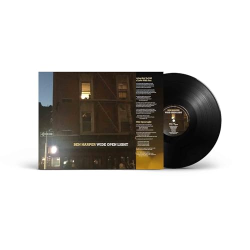 Wide Open Light [Vinyl LP] von Chrysalis