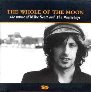 The Whole of the Moon [Musikkassette] von Chrysalis