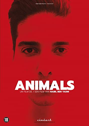Animals von Cineart Cineart