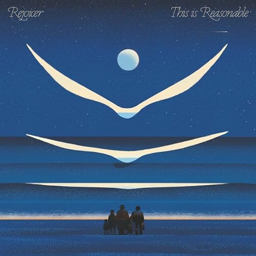 This Is Reasonable [Vinyl LP] von Circus Company