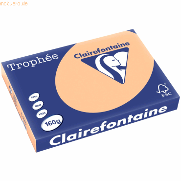 4 x Clairefontaine Kopierpapier Trophee A3 160g/qm VE=250 Blatt apriko von Clairefontaine