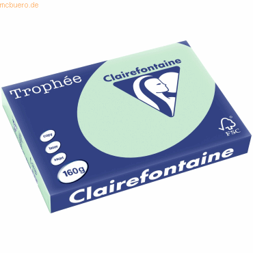 4 x Clairefontaine Kopierpapier Trophee A3 160g/qm VE=250 Blatt hellgr von Clairefontaine