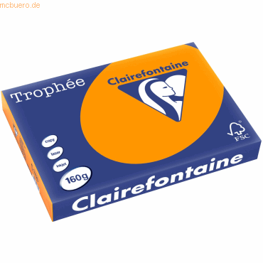 4 x Clairefontaine Kopierpapier Trophee A3 160g/qm VE=250 Blatt intens 4 x Clairefontaine Kopierpapier Trophee A3 160g/qm VE=250 Blatt intens von Clairefontaine