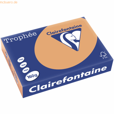 4 x Clairefontaine Kopierpapier Trophee A4 160g/qm VE=250 Blatt camel von Clairefontaine