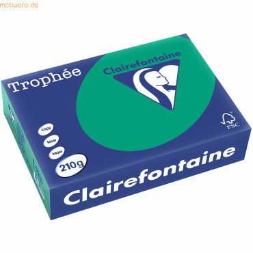4 x Clairefontaine Kopierpapier Trophee A4 210g/qm VE=250 Blatt tannen von Clairefontaine
