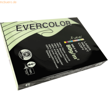 5 x Clairefontaine Kopierpapier Forever Evercolor DIN A3 hellgrün 80 g von Clairefontaine