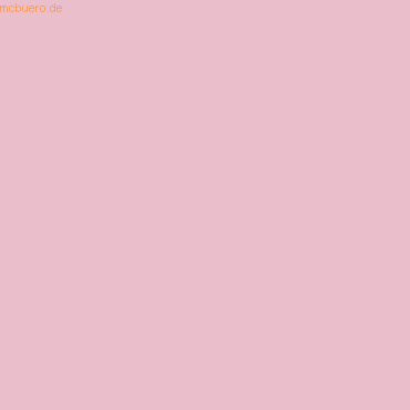 5 x Clairefontaine Kopierpapier Trophee A3 80g/qm VE=500 Blatt rosa 5 x Clairefontaine Kopierpapier Trophee A3 80g/qm VE=500 Blatt rosa von Clairefontaine