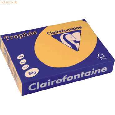 5 x Clairefontaine Kopierpapier Trophee Pastell A4 80g/qm goldgelb VE= 5 x Clairefontaine Kopierpapier Trophee Pastell A4 80g/qm goldgelb VE= von Clairefontaine