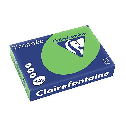 Clairefontaine 1025C - Ries Druckerpapier / Kopierpapier Trophee, intensive Farben, DIN A4, 160g, 250 Blatt, Minze, 1 Ries von Clairefontaine