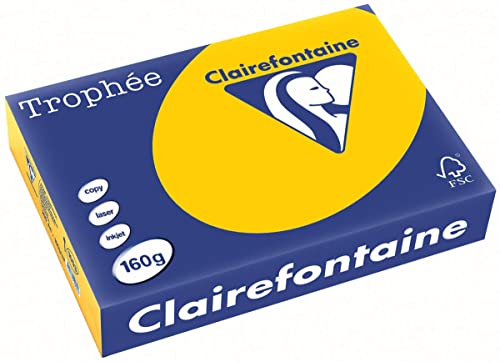 Clairefontaine 1053C - Ries mit 250 Blatt Druckerpapier / Kopierpapier Trophée, DIN A4 (21x29,7 cm), 160g, Sonnenblumengelb intensive Farbe, 1 Ries von Clairefontaine
