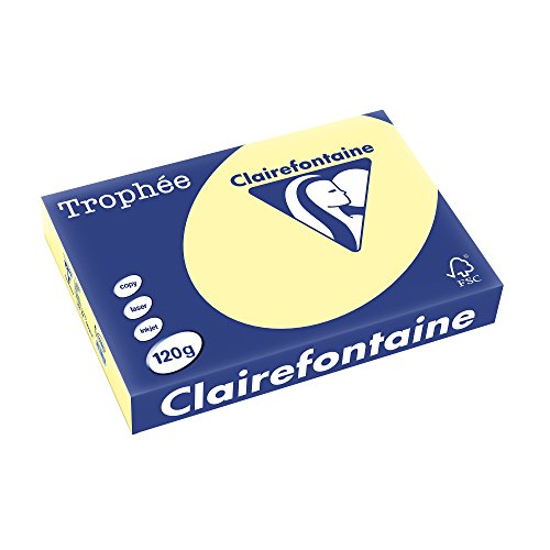 Clairefontaine 1248C - Ries Druckerpapier / Kopierpapier Trophee, intensive Farben, DIN A4, 120g, 250 Blatt, Gelb, 1 Ries Clairefontaine 1248C - Ries Druckerpapier / Kopierpapier Trophee, intensive Farben, DIN A4, 120g, 250 Blatt, Gelb, 1 Ries von Clairefontaine