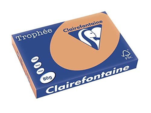 Clairefontaine 1254C - Ries mit 500 Blatt Druckerpapier / Kopierpapier Trophée, DIN A3 (29,7x42 cm), 80g, Kamelbraun Pastellfarbe, 1 Ries von Clairefontaine