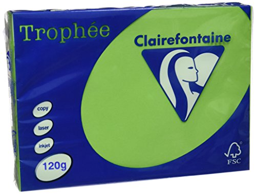 Clairefontaine 1293C - Ries mit 250 Blatt Druckerpapier / Kopierpapier Trophée, DIN A4 (21x29,7 cm), 120g, Minze intensive Farbe, 1 Ries von Clairefontaine