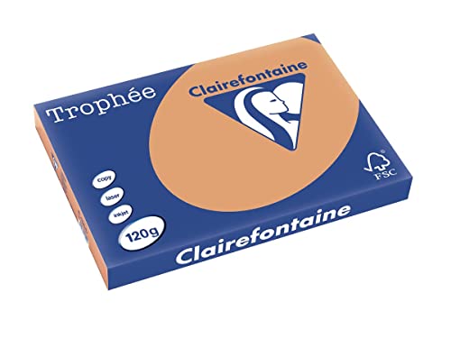 Clairefontaine 1304C - Ries mit 250 Blatt Druckerpapier / Kopierpapier Trophée, DIN A3 (29,7x42 cm), 120g, Kamelbraun Pastellfarbe, 1 Ries von Clairefontaine