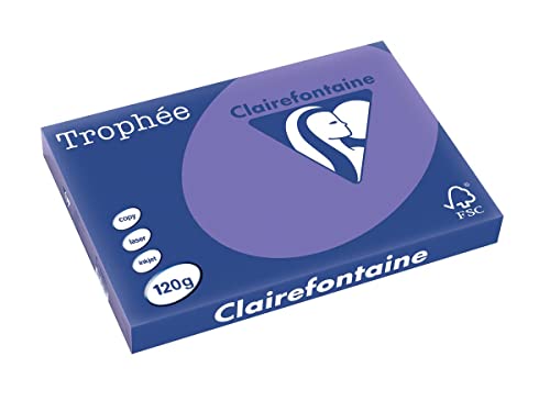 Clairefontaine 1320C - Ries mit 250 Blatt Druckerpapier / Kopierpapier Trophée, DIN A3 (29,7x42 cm), 120g, Violett intensive Farbe, 1 Ries von Clairefontaine