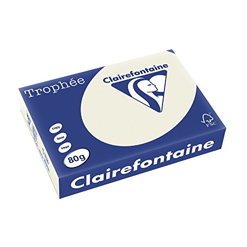 Clairefontaine 1788C - Ries Druckerpapier / Kopierpapier Trophee, Pastell Farben, DIN A4, 80g, 500 Blatt, Perlgrau, 1 Ries von Clairefontaine