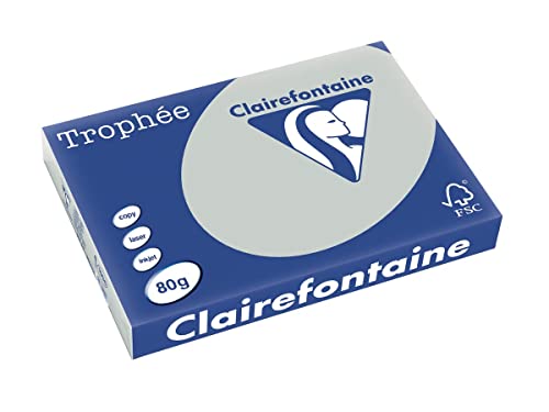 Clairefontaine 1994C - Ries mit 500 Blatt Druckerpapier / Kopierpapier Trophée, DIN A3 (29,7x42 cm), 80g, Stahlgrau Pastellfarbe, 1 Ries von Clairefontaine