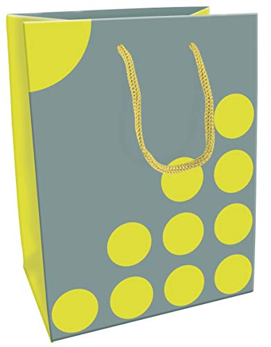 Clairefontaine 201739C Geschenktüte (19 x 12 x 25 cm, einfach zum Transportieren, 2 sortierte Tragegriffen) 1 Stück dots von Clairefontaine