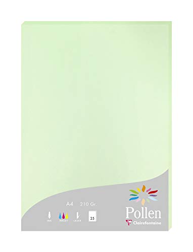 Clairefontaine 24205C Packung mit 25 Karten Pollen 210g, DIN A4, 21 x 29,7cm, Grün von Clairefontaine