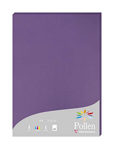 Clairefontaine 24216C Packung mit 25 Karten Pollen 210g, DIN A4, 21 x 29,7cm, Violett von Clairefontaine