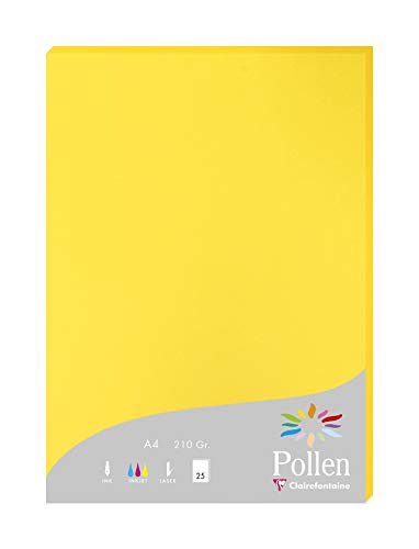 Clairefontaine 24217C Packung mit 25 Karten Pollen 210g, DIN A4, 21 x 29,7cm, Sonne von Clairefontaine