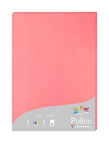 Clairefontaine 24235C Packung mit 25 Karten Pollen 210g, DIN A4, 21 x 29,7cm, Litschi von Clairefontaine