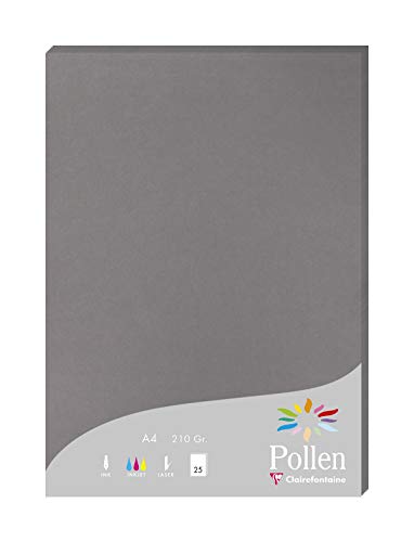 Clairefontaine 24283C Packung mit 25 Karten Pollen 210g, DIN A4, 21 x 29,7cm, Dunkelgrau von Clairefontaine