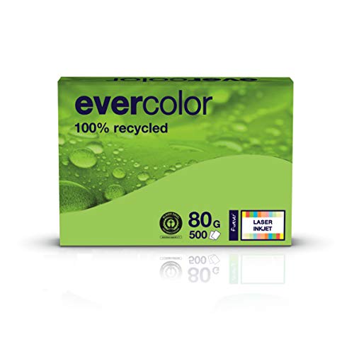 Clairefontaine 40027C - Ries Druckerpapier / Kopierpapier Evercolor, Recycling Papier, DIN A4, 80g, 500 Blatt, Lindgrün, 1 Ries von Clairefontaine