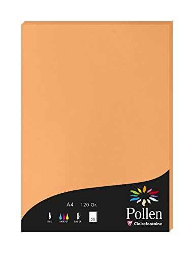 Clairefontaine 4208C Packung mit 50 Karten Pollen 120g, DIN A4, 21 x 29,7cm, Clementine von Clairefontaine