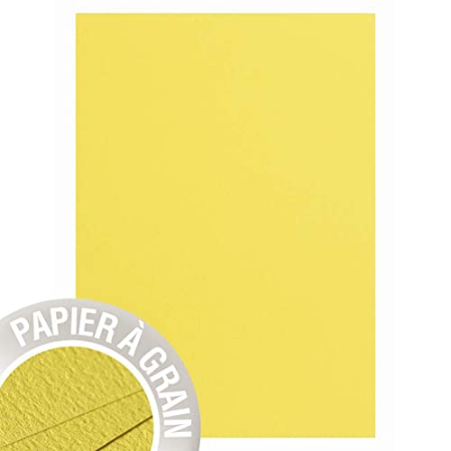 Clairefontaine 48251C Packung mit 50 Blatt Grain de Pollen, DIN A4, 210 x 297 mm, 210g, Melone von Clairefontaine