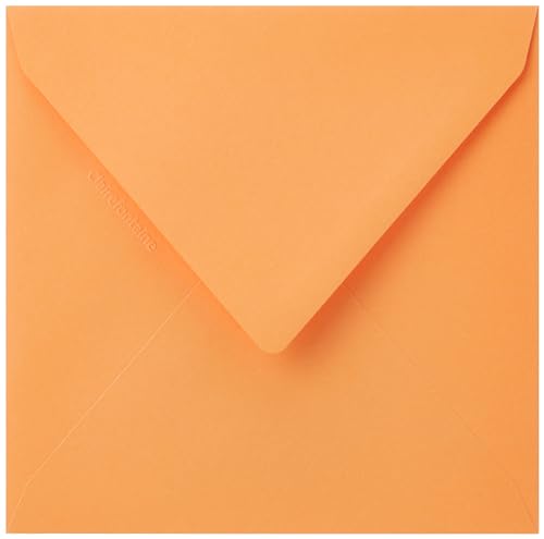 Clairefontaine 5598C - Packung mit 20 Umschläge Pollen, 140 x 140 mm, 120g, ideal für Einladungen und Korrespondenz, Clementine, 1 Pack Clairefontaine 5598C - Packung mit 20 Umschläge Pollen, 140 x 140 mm, 120g, ideal für Einladungen und Korrespondenz, Clementine, 1 Pack von Clairefontaine