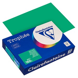 Clairefontaine Kopierpapier Trophée tannengrün DIN A4 160 g/qm 250 Blatt Clairefontaine Kopierpapier Trophée tannengrün DIN A4 160 g/qm 250 Blatt von Clairefontaine
